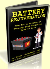 batteryrejuvenation[1].jpg